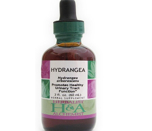 Hydrangea Extract