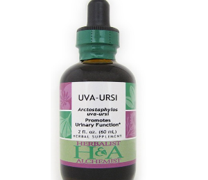 Uva Ursi Extract